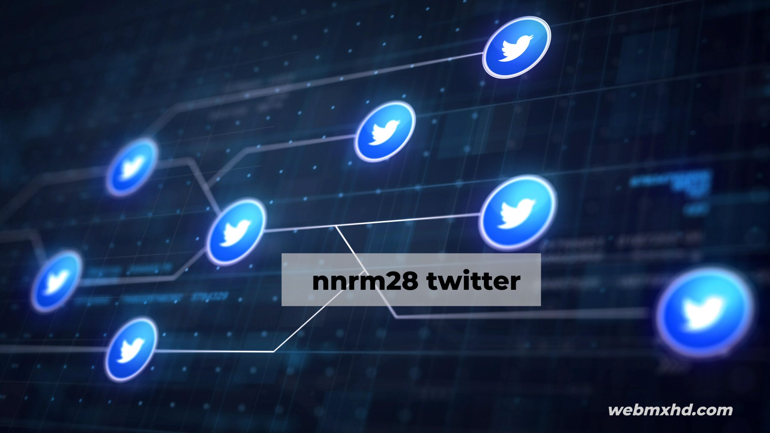 nnrm28 twitter