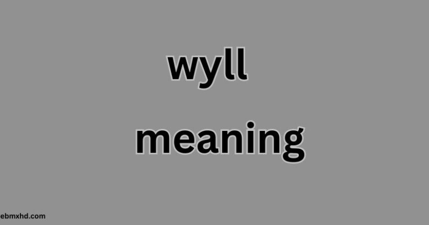 Wyll Meaning: Understanding the Modern Slang Term