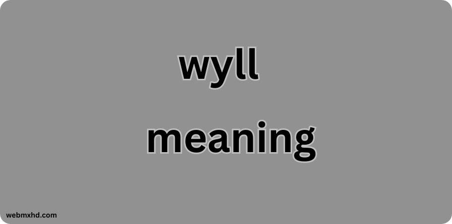 wyll meaning