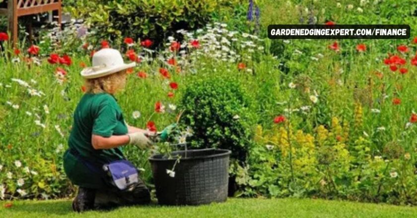 Gardenedgingexpert.com/finance without Breaking the Bank: Essential Financial Tips for Gardeners