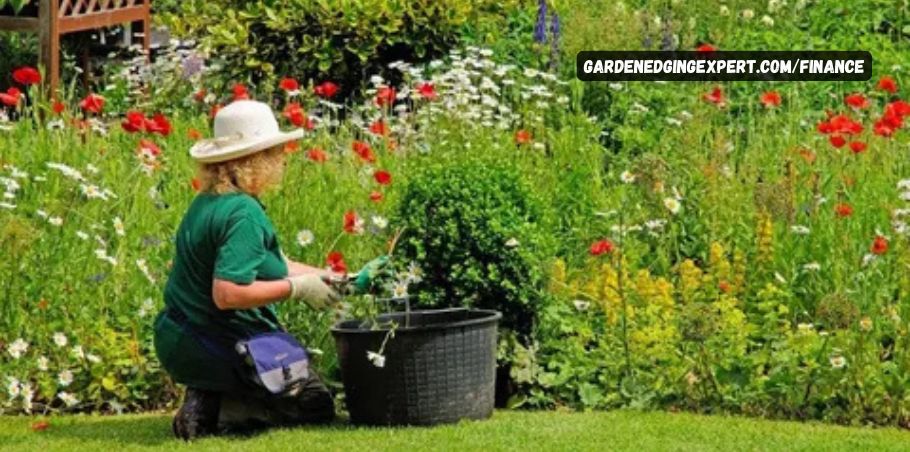 Gardenedgingexpert.com/finance without Breaking the Bank: Essential Financial Tips for Gardeners