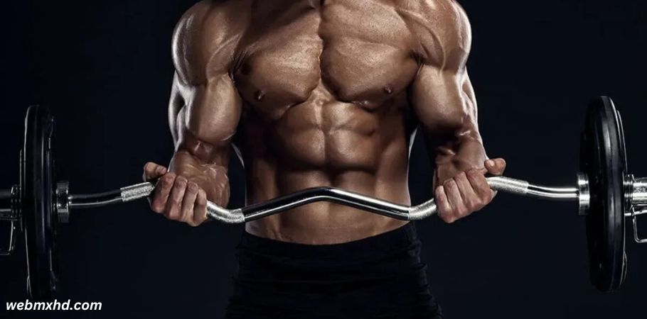 wellhealth how to build muscle tag